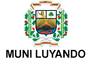 CAS MUNICIPALIDAD DISTRITAL DE LUYANDO - HUÁNUCO