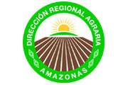  DIRECCIÓN REGIONAL AGRARIA AMAZONAS