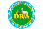 CAS DIRECCIÓN AGRARIA PUNO