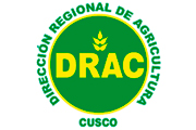 CAS DIRECCIÓN REGIONAL DE AGRICULTURA CUSCO