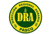  CAS DIRECCIÓN REGIONAL DE AGRICULTURA PASCO