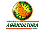 CAS DIRECCIÓN DE AGRICULTURA UCAYALI