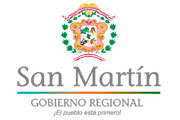 CAS DIRECCIÓN DE EDUCACIÓN(DRE) SAN MARTÍN