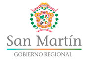  DIRECCIÓN REGIONAL DE SALUD SAN MARTÍN
