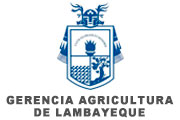  GERENCIA AGRICULTURA DE LAMBAYEQUE