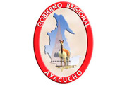 CAS GOBIERNO REGIONAL DE AYACUCHO