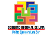 CAS GOBIERNO REGIONAL DE LIMA - UNIDAD EJECUTORA LIMA SUR