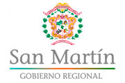  CAS GOBIERNO REGIONAL DE SAN MARTÍN