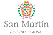 CAS GOBIERNO REGIONAL DE SAN MARTÍN