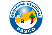 CAS GOBIERNO REGIONAL PASCO