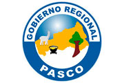  CAS GOBIERNO REGIONAL PASCO