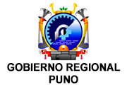 CAS GOBIERNO REGIONAL PUNO