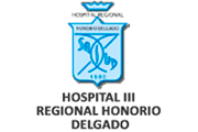  HOSPITAL HONORIO DELGADO