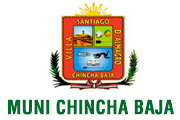  MUNICIPALIDAD DISTRITAL DE CHINCHA BAJA