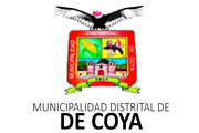 CAS MUNICIPALIDAD DE COYA