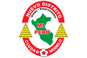 CAS MUNICIPALIDAD DISTRITAL DE MI PERÚ