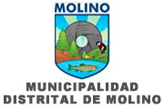 CAS MUNICIPALIDAD DE MOLINO