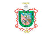  CAS MUNICIPALIDAD DISTRITAL DE PALCA