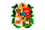  CAS MUNICIPALIDAD DE PALLANCHACRA