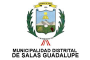 CAS MUNICIPALIDAD DE SALAS GUADALUPE