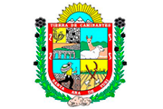  CAS MUNICIPALIDAD DE SANTA ANA DE TUSI