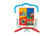 CAS MUNICIPALIDAD DE CONCEPCION