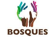 CAS PROGRAMA CONSERVACION DE BOSQUES