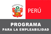 CAS PROGRAMA PARA LA EMPLEABILIDAD