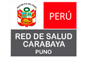 CAS RED DE SALUD CARABAYA