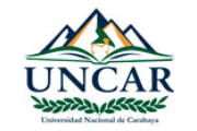  CAS UNCAR - UNIVERSIDAD DE CARABAYA