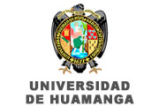 CAS UNIVERSIDAD NACIONAL DE SAN CRISTÓBAL DE HUAMANGA