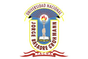 CAS UNIVERSIDAD NACIONAL JORGE BASADRE