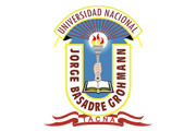 CAS UNIVERSIDAD NACIONAL JORGE BASADRE GROHMANN