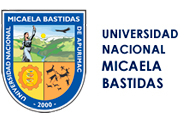 CAS UNIVERSIDAD MICAELA BASTIDAS